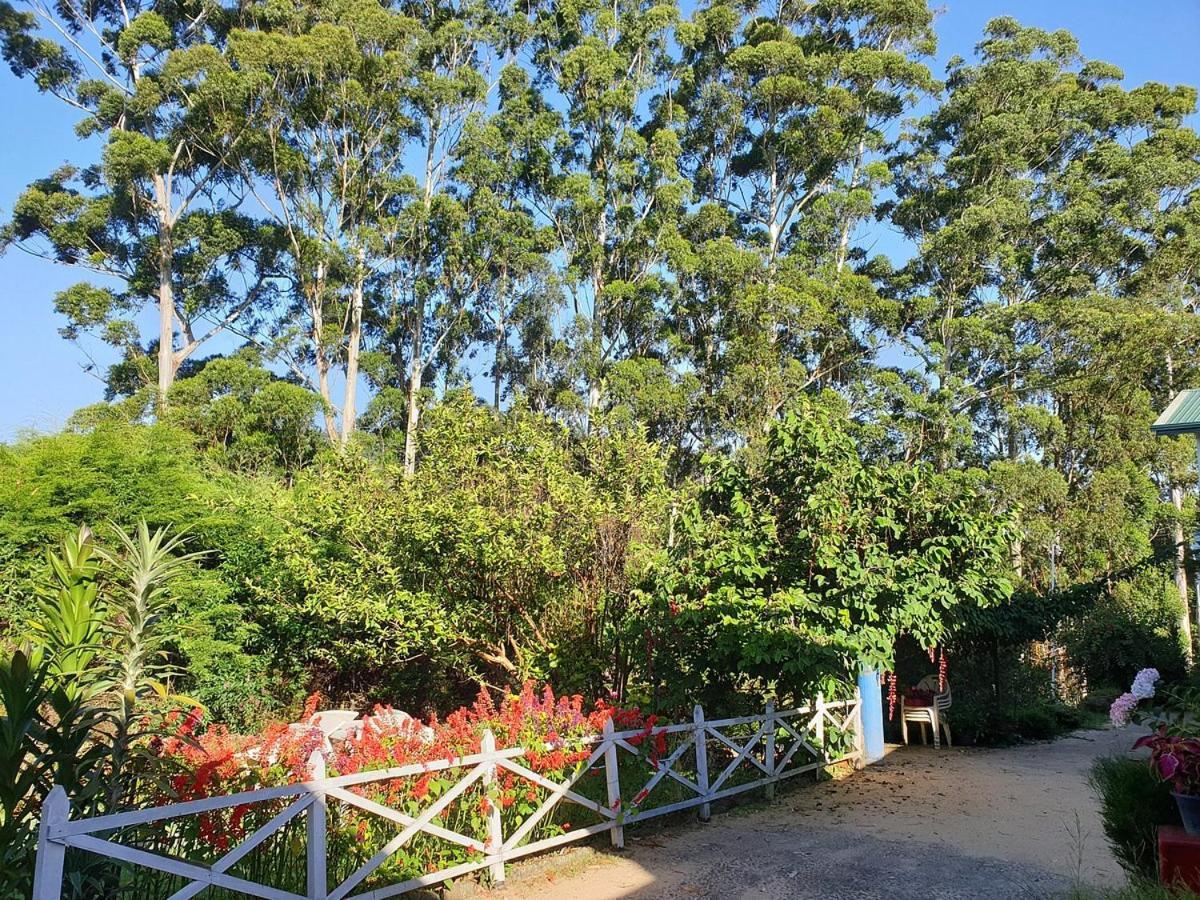 Panorama Green View Hotel Нувара Елия Екстериор снимка